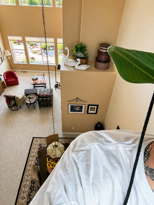 Interior Window Cleaning