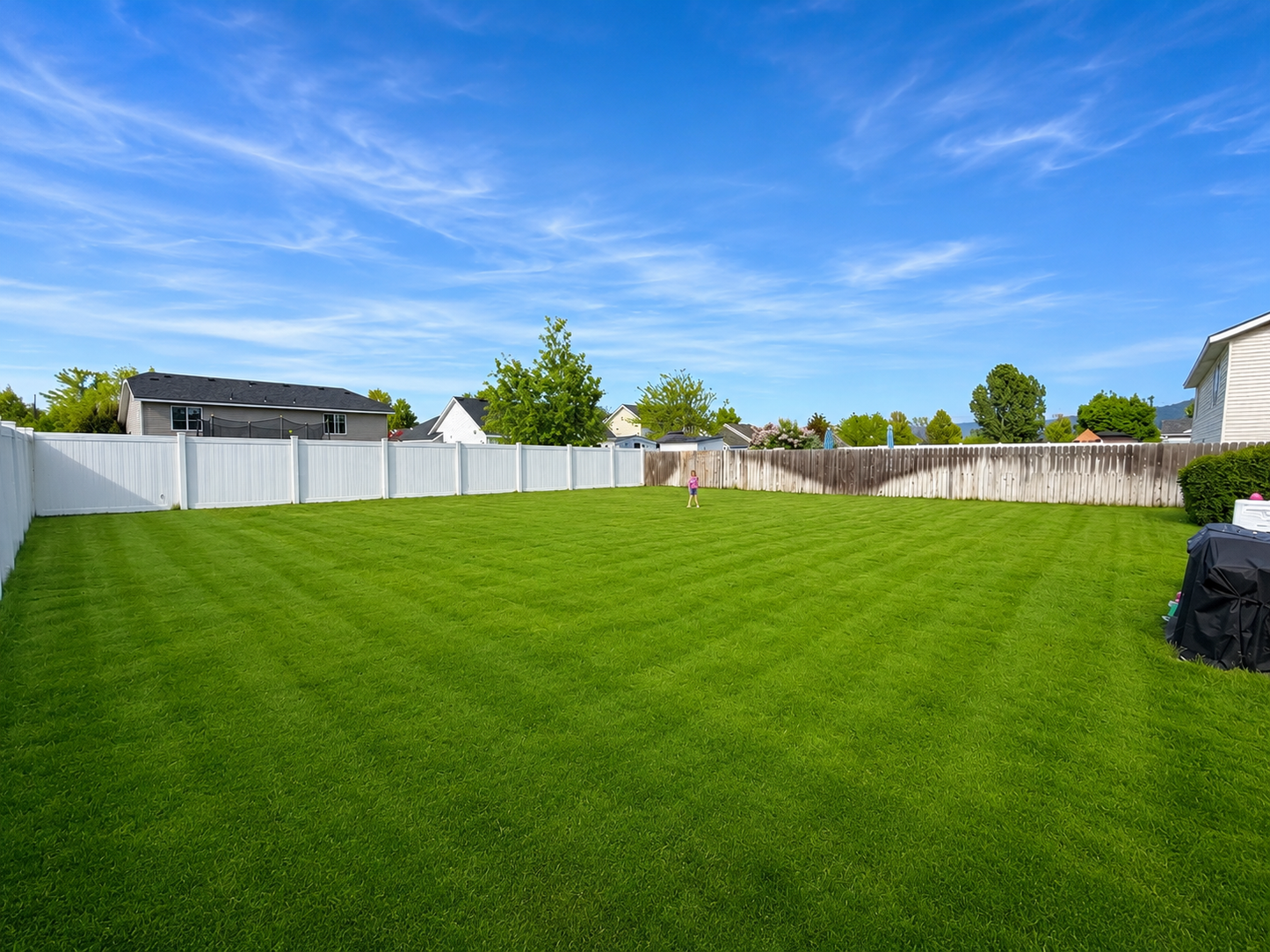 Lawn Maintenance